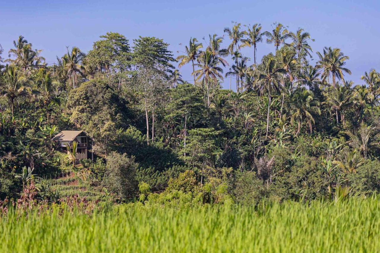 Sanda Plantation Hideaway Екстериор снимка